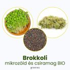 Brokkoli mikrozöld és csíramag BIO