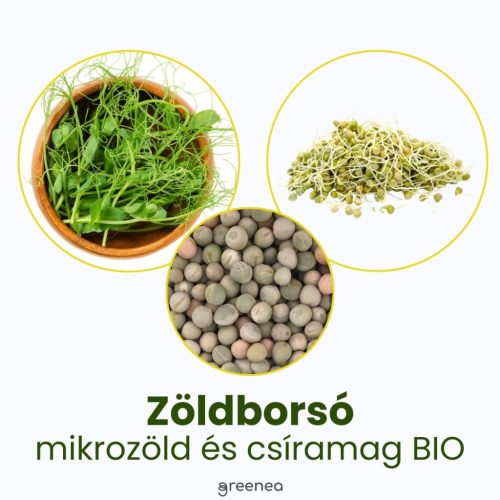 Zöldborsó mikrozöld és csíramag BIO