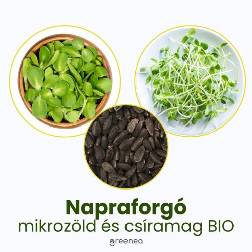 Napraforgó mikrozöld és csíramag BIO