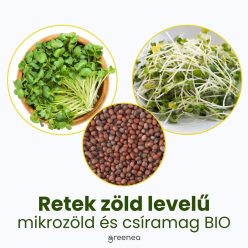 Retek zöld levelű mikrozöld és csíramag BIO