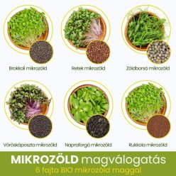 Mikrozöld magválogatás 6 fajta maggal