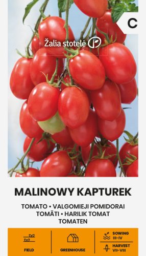 Koktélparadicsom MALINOWY KAPTUREK vetőmag