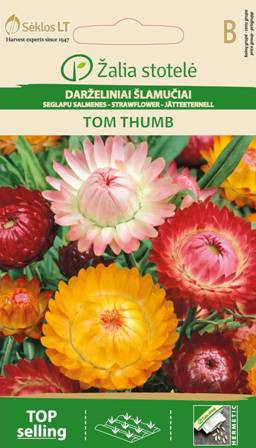 Szalmarózsa Tom Thumb Mix vetőmag