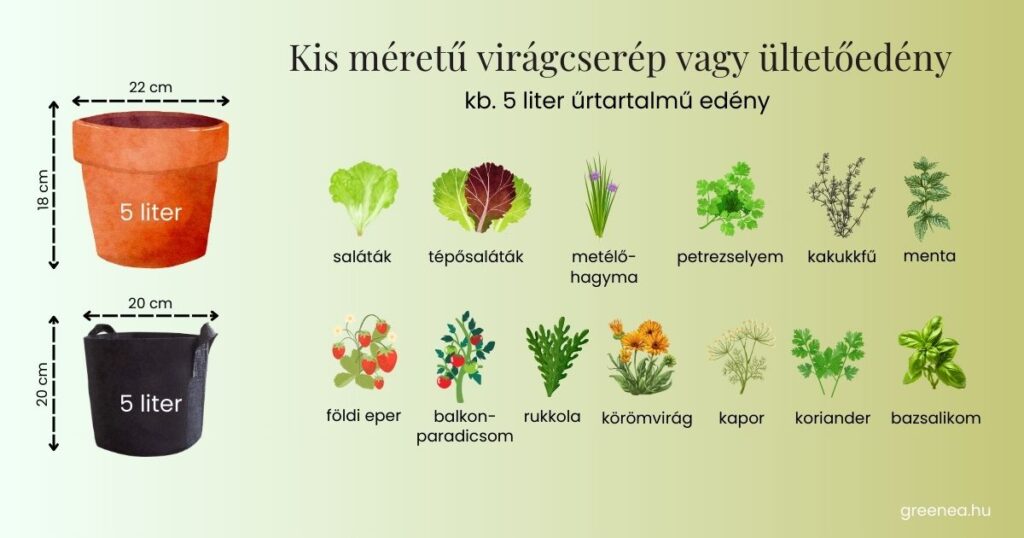 cserépméret útmutató sekély gyökerű növényekhez