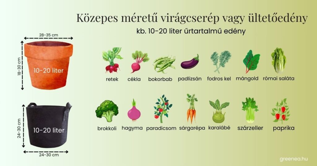 cserépméret útmutató paprikának, fűszernövéyneknek