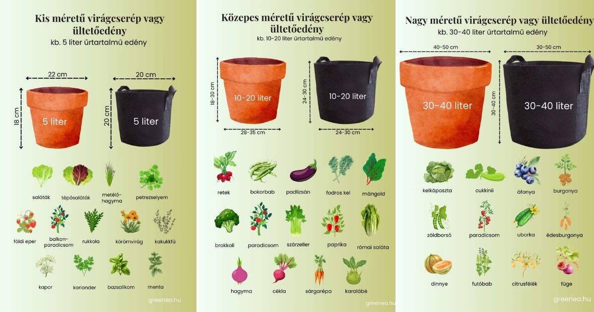 Balkon zöldségtermesztés