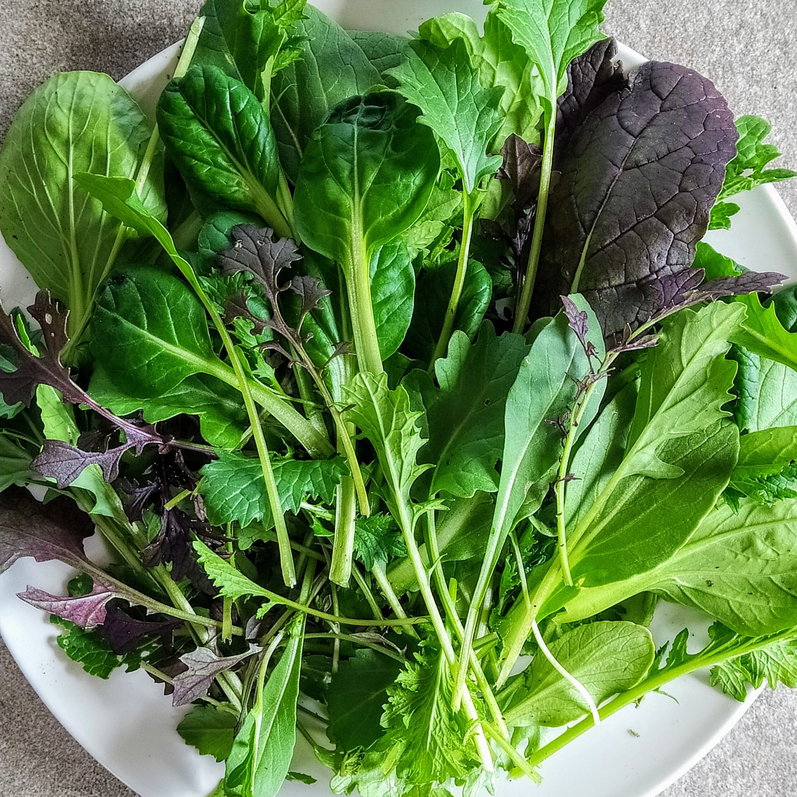 tépősaláta termesztés