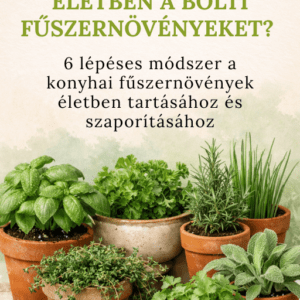 Hogyan tartsd életben a bolti fűszernövényeket - ebook