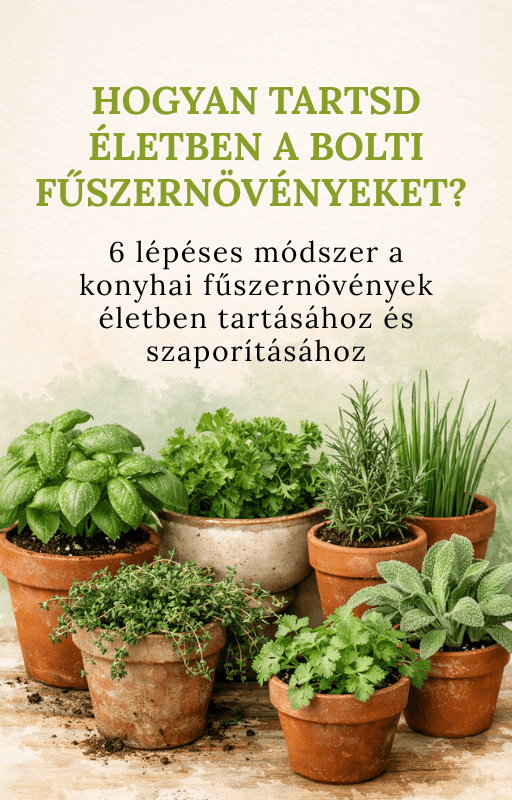 Hogyan tartsd életben a bolti fűszernövényeket - ebook