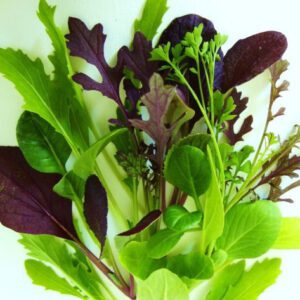 Fűszeres salátakeverék vetőmag