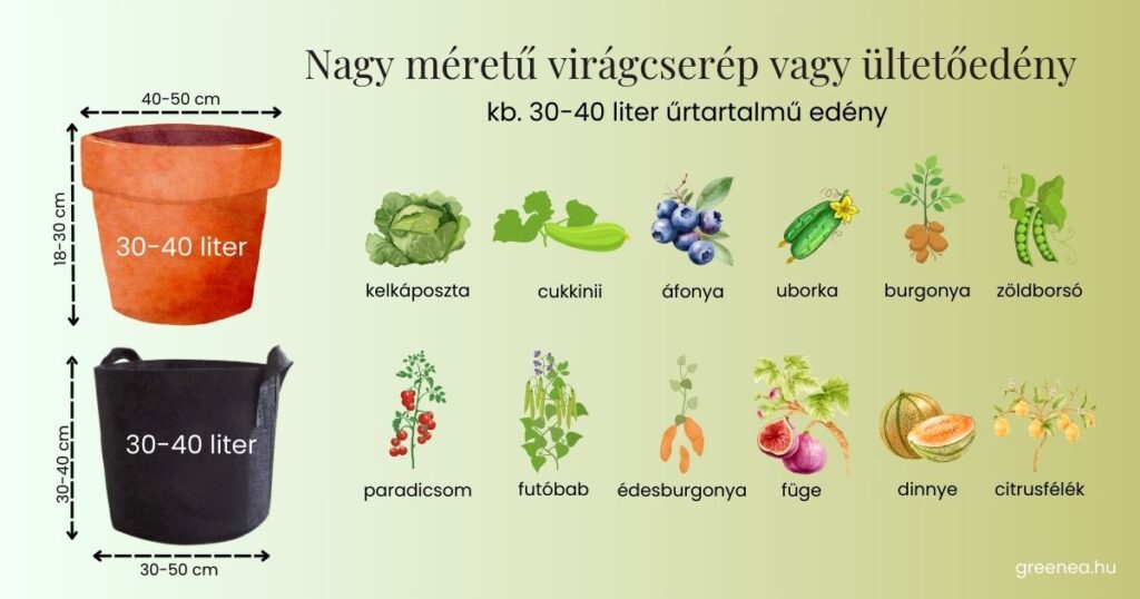 zöldségtermesztés erkélyen