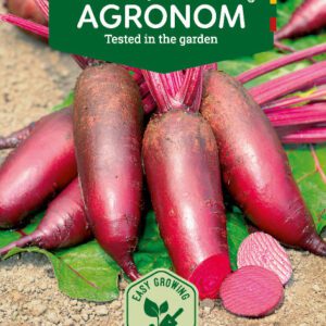 Cékla RENOVA vetőmag