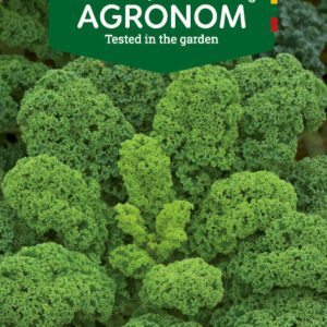 Fodros kel TINTORETO vetőmag