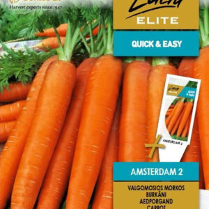 Répa AMSTERDAM 2 vetőmag