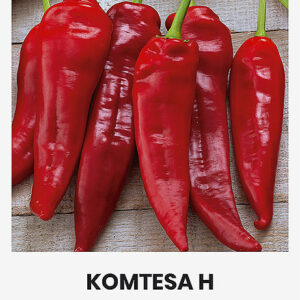 Paprika Komtesa F1 vetőmag