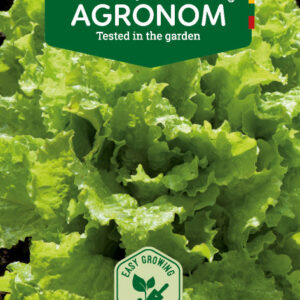 Saláta  Grünetta vetőmag