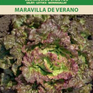 Saláta MARAVILLA DE VERANO vetőmag