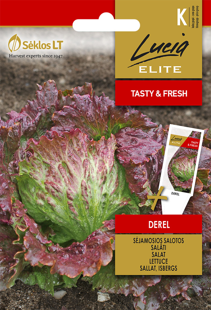 Saláta DEREL vetőmag