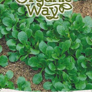 Madársaláta Vit vetőmag