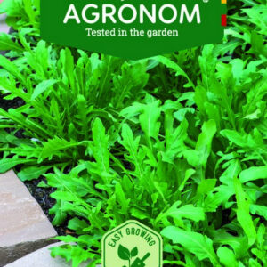 Rukkola saláta vetőmag 2gr