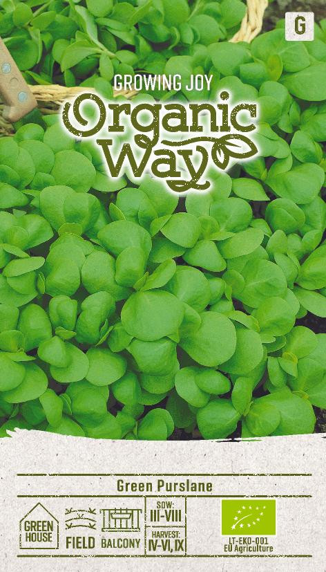 Téli porcsin vetőmag - Image 3