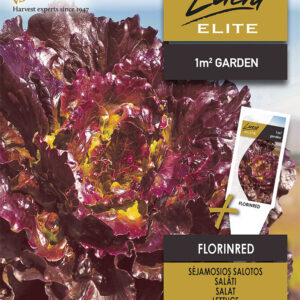 Saláta FLORINRED vetőmag