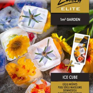 Balkonkert virág "Jégkocka" magválogatás