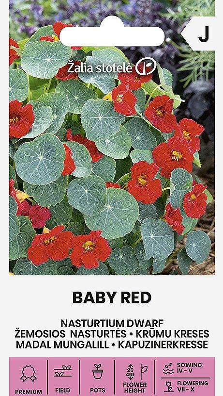 Kerti sarkantyúka BABY RED virágmag