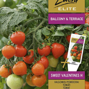 Paradicsom SWEET VALENTINES H vetőmag