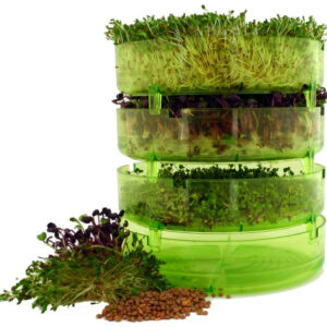 GEO Plus csíráztató tál + AJÁNDÉK csíramag