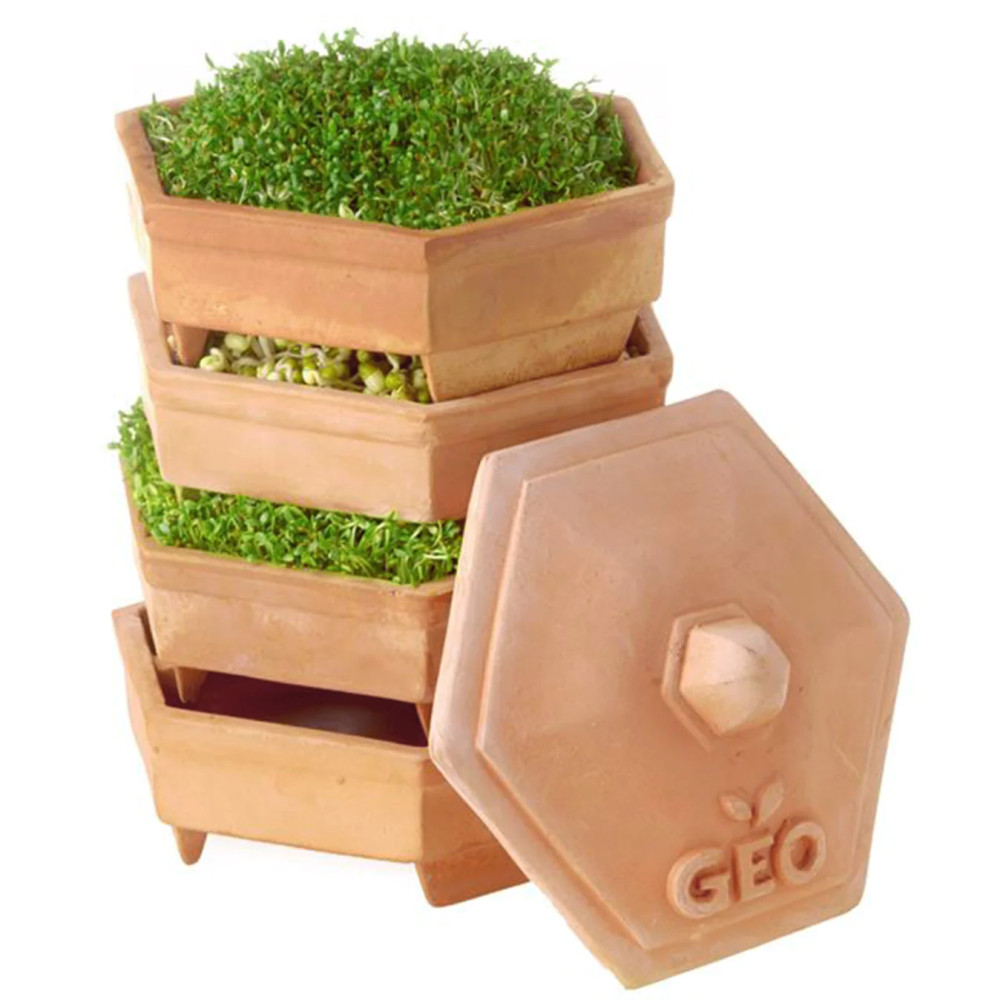 GEO Terracotta Csíráztató tál
