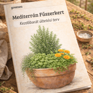 Mediterrán Fűszerkert – Balkon ültetési terv (PDF) — mediterrán fűszerkert balkon ültetési terv borító, balkonládában rozmaring, bazsalikom és kakukkfű