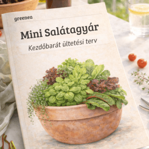 Mini salátagyár – Balkon ültetési terv (PDF) — saláta termesztés balkon terv borító, balkonládában többféle tépősaláta
