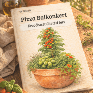 Pizza kert balkonládában – ültetési terv kezdőknek (PDF) — paradicsom balkon kert terv borító, balkonládában nevelt paradicsom és fűszernövények illusztrációval