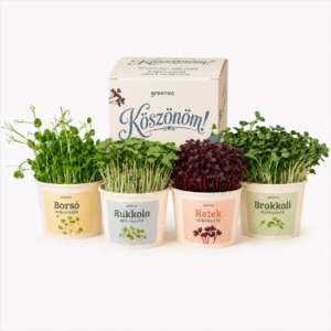 Greenea Mikrozöld Termesztőkészlet – Köszönöm