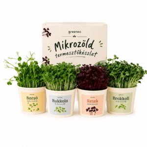 Greenea Mikrozöld Termesztőkészlet